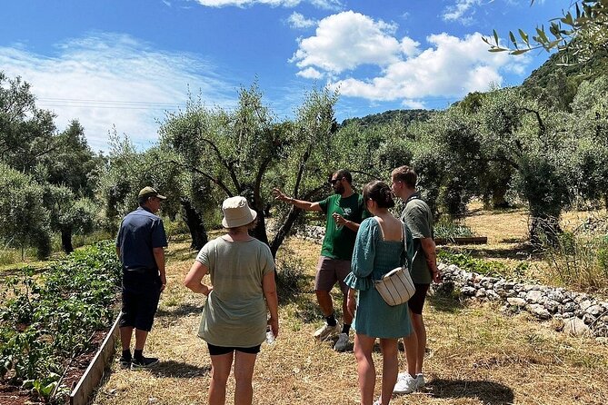 The Olive Oil Experience @ Lefkada Micro Farm - Learning the Olive Oil ABC for your own kitchen