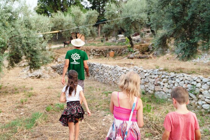 The Olive Oil Experience @ Lefkada Micro Farm - The guide and the tone of the experience