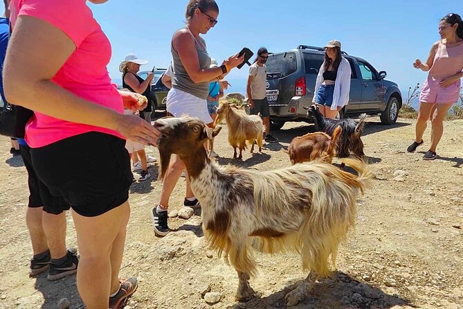 The Roads Of Wine Olive Oil And Cretan Tradition in Malia - Meeting a shepherd at the house