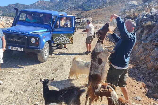The Roads Of Wine Olive Oil And Cretan Tradition in Malia - Learning how Cretan olive oil is produced
