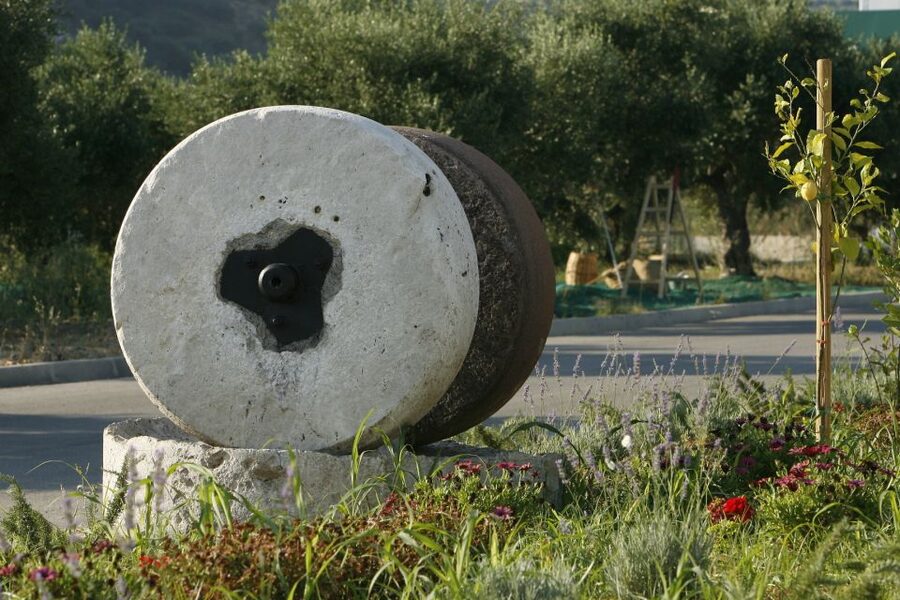The Terra Creta Olive Oil Experience Tour - Key points to know before you go