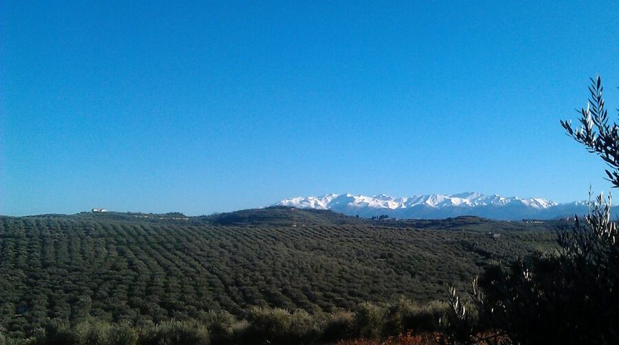 The Terra Creta Olive Oil Experience Tour - Timing, access, and who will enjoy it