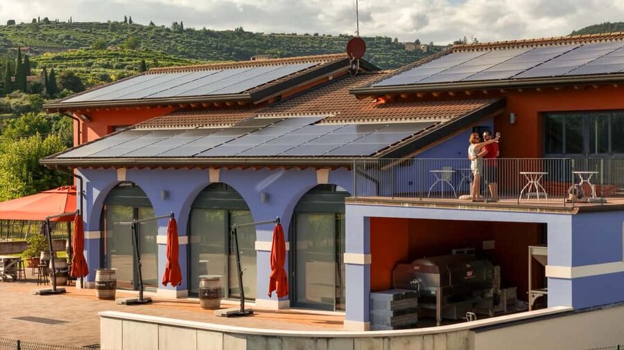THE TRADITIONS OF VALPOLICELLA: WINE, EXTRA VIRGIN OLIVE OIL, AND HONEY TASTING - Tasting five organic red wines