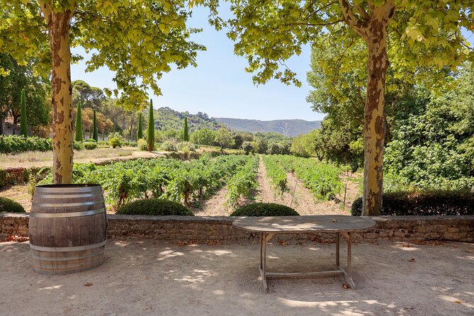 The wines of the Luberon, the Château de Lourmarin & Bastide du Laval olive oil - Château de Lourmarin adds a change of pace