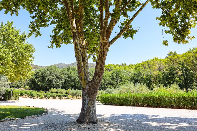 The wines of the Luberon, the Château de Lourmarin & Bastide du Laval olive oil - The private vehicle is part of the value