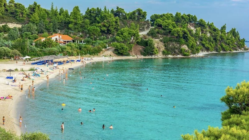 Thessaloniki: Halkidiki/Sithonia Swim, Sunset & Olive Tour - Meeting at Nea Elvetia and leaving Thessaloniki