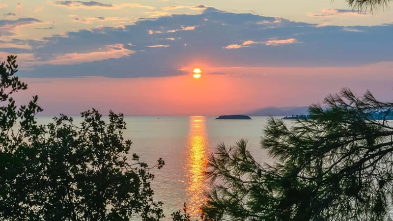 Thessaloniki: Halkidiki/Sithonia Swim, Sunset & Olive Tour - Guides, buses, and the feel of the day