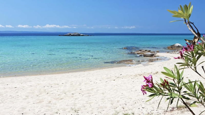 Thessaloniki: Halkidiki/Sithonia Swim, Sunset & Olive Tour - Who should book this Halkidiki day trip?