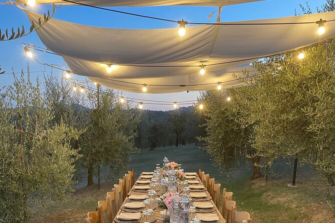 Think of a romantic meal in the Olive Trees shade, accompanied by Tuscan wines! - What arrives on the four-course menu