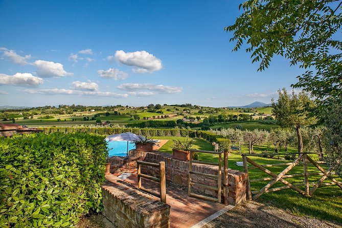 Think of a romantic meal in the Olive Trees shade, accompanied by Tuscan wines! - Pool and private spa add-ons