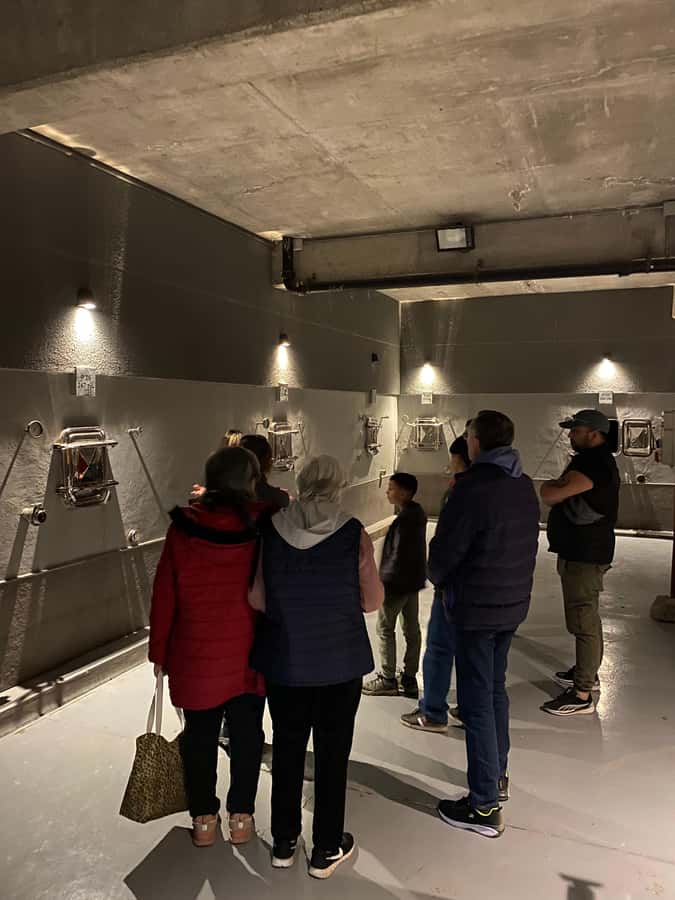 Tour of 3 wineries in Maipú with lunch + olive groves - Key points at a glance