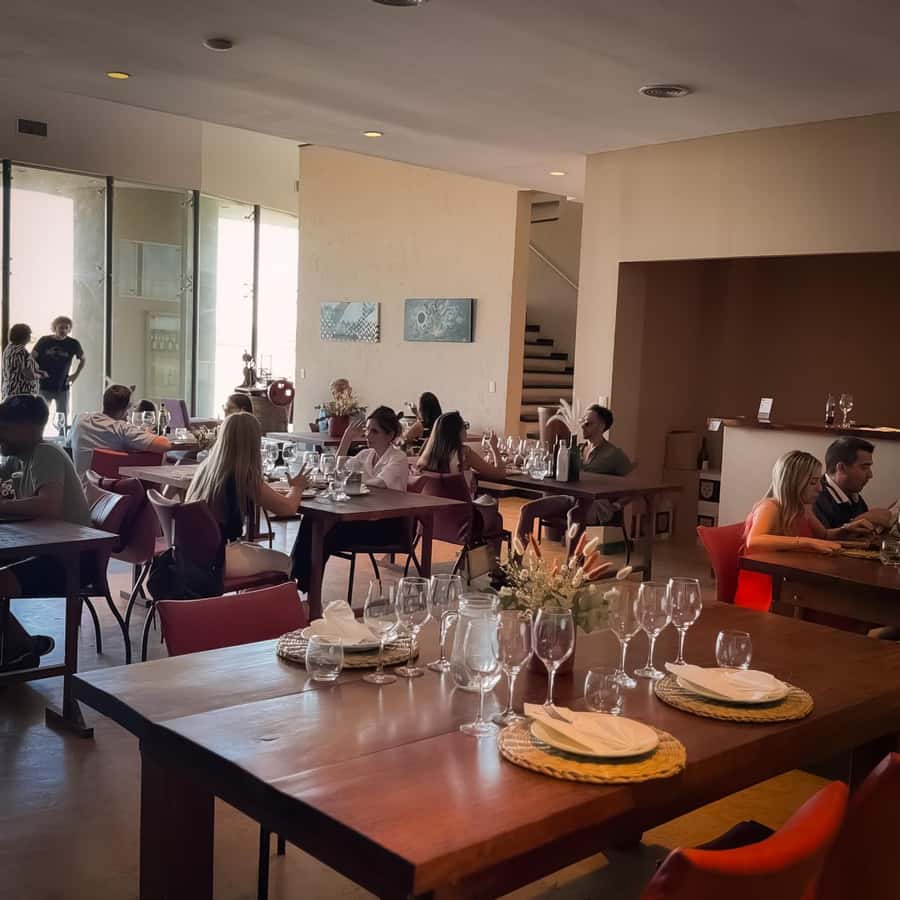 Tour of 3 wineries in Maipú with lunch + olive groves - The final stop at Esencia 1870