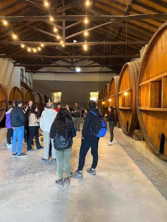Tour of 3 wineries in Maipú with lunch + olive groves - What the transportation is really worth