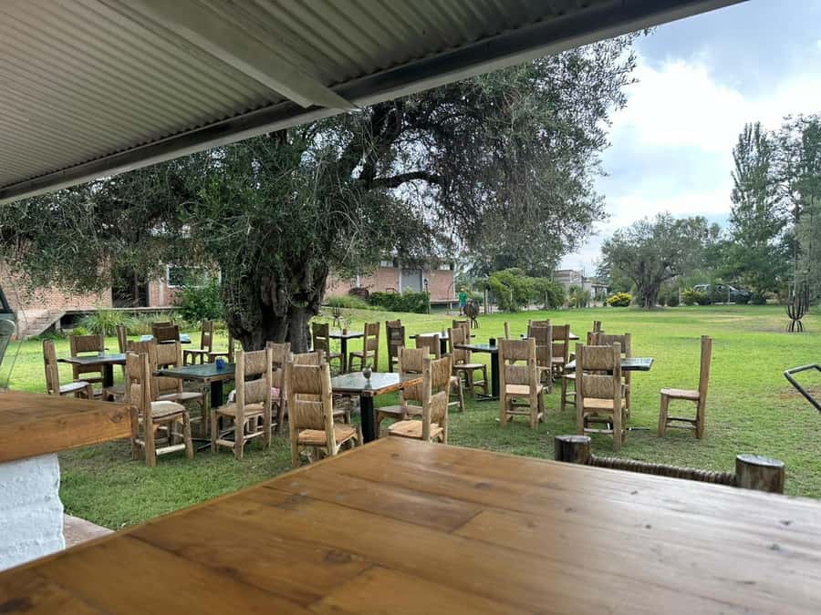 Tour of 3 wineries in Maipú with lunch + olive groves - English support and the pace of the day