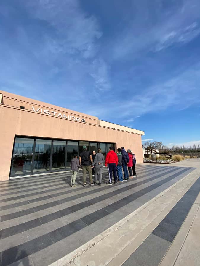 Tour of 3 wineries in Maipú with lunch + olive groves - Starting from central Mendoza