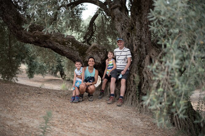 Tour of Olive Grove and Oil Mills with Oil Tasting - Antonio’s role makes the difference