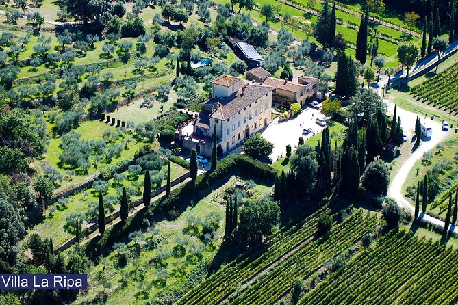 Tour through the vineyards and wine and olive oil tasting in Tuscany - Key Points Before You Book