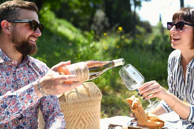 Tour through the vineyards and wine and olive oil tasting in Tuscany - Four Wines and a Tuscan Food Board