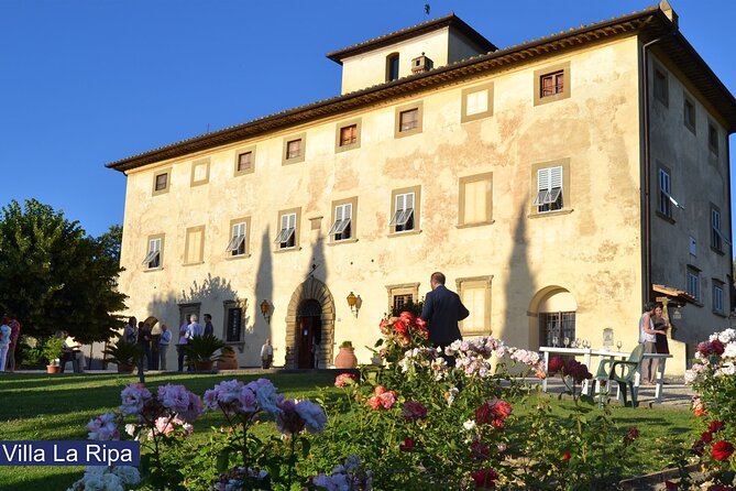 Tour through the vineyards and wine and olive oil tasting in Tuscany - Walking Through the Vineyards When Weather Allows