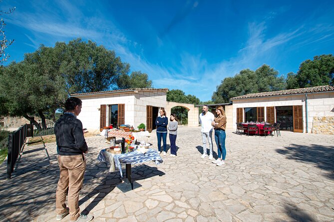 Tour to olive grove and olive mill, oil tasting and snack - Learn how extra virgin olive oil earns its name