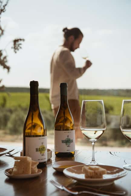 Tour with Wine and Olive Oil Tasting - Key points to know before booking