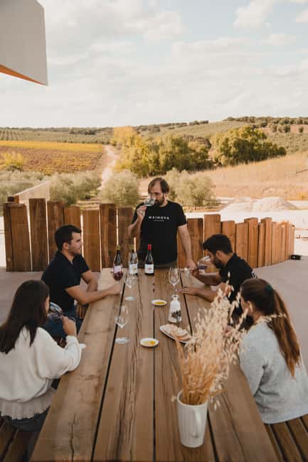 Tour with Wine and Olive Oil Tasting - Why Mainova makes a good Alentejo stop