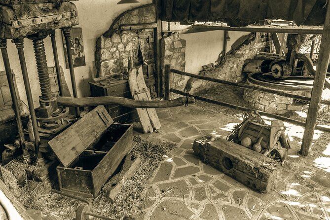 Traditional Olive Oil Making at Spiridi Olive Oil Farm - Crete - Key points to know before you book