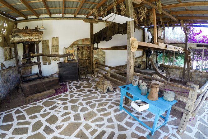 Traditional Olive Oil Making at Spiridi Olive Oil Farm - Crete - Arriving at the 10:30 a.m. olive oil workshop