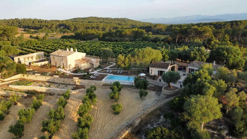 Treurer: Olive Oil Night. Gastronomic experience - Arriving at Finca Treurer for the 6:00 PM start