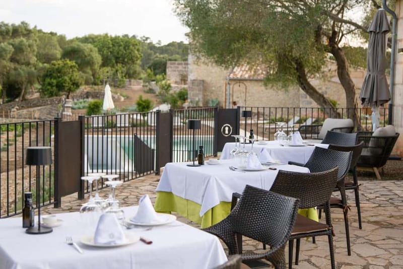 Treurer: Olive Oil Night. Gastronomic experience - A ten-minute walk through the olive grove