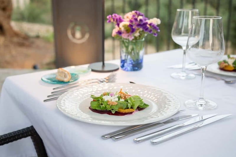 Treurer: Olive Oil Night. Gastronomic experience - Useful planning notes before you go