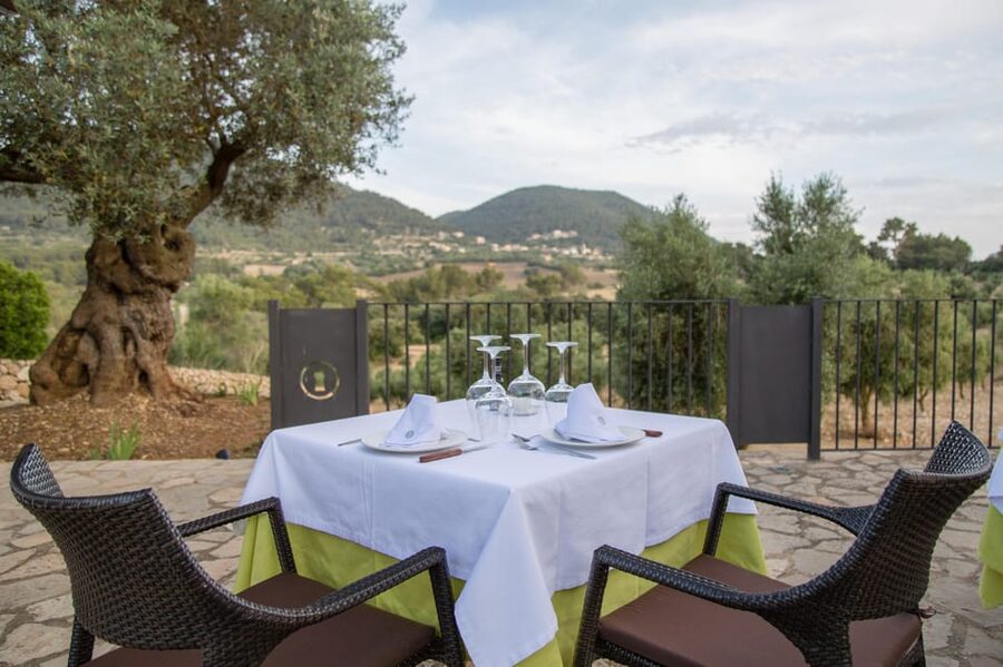 Treurer: Tapas Gourmet and Extra Virgin Olive Oil - Three hours of Mallorcan tapas