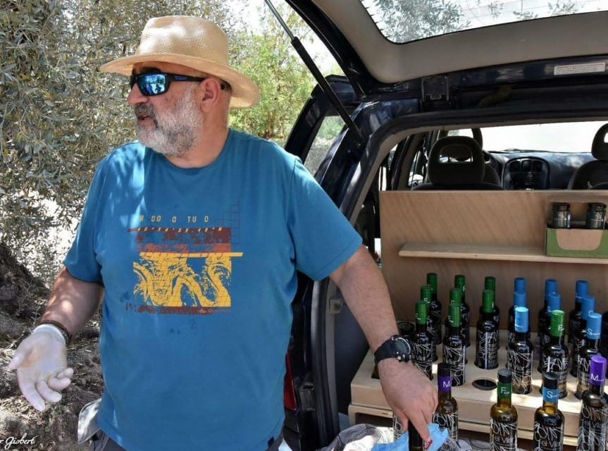 Ulldecona: Guided Tour of the Millenary Olive Trees of Arión - Is $11 a fair price?