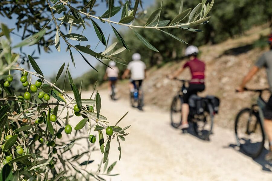 Umbria: E-Bike Rental and Fresh EV Olive Oil Tasting - Key Points to Know Before You Book