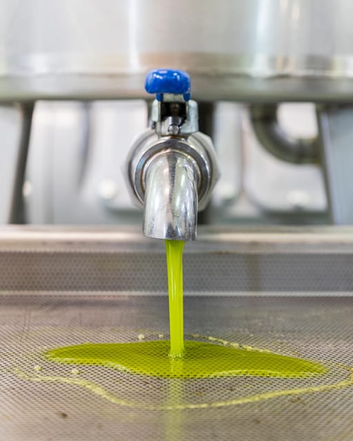 Umbria: E-Bike Rental and Fresh EV Olive Oil Tasting - Inside Frantoio Gaudenzi Olive Mill