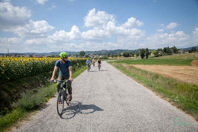 Umbria E-Bike & Wine Tour through Vineyards and Olive Groves - Key points at a glance