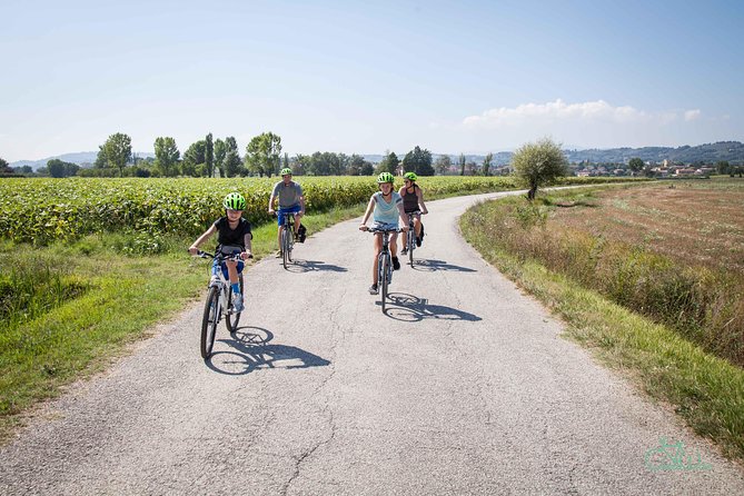 Umbria E-Bike & Wine Tour through Vineyards and Olive Groves - Cantina La Fonte is the heart of the day