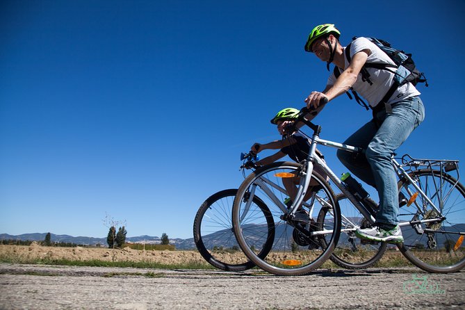 Umbria E-Bike & Wine Tour through Vineyards and Olive Groves - Pickup, meeting point, and practical planning