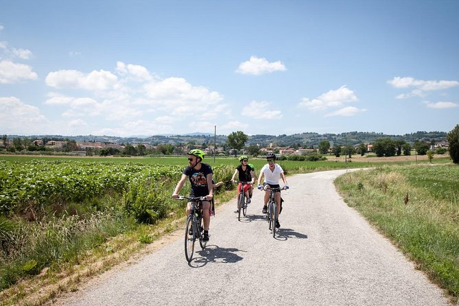 Umbria E-Bike & Wine Tour through Vineyards and Olive Groves - Who will enjoy this six-hour outing most