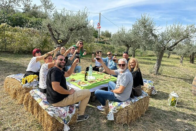 Umbria: Guided tour to Traditional Olive Oil Mill and Tasting - Key points to know before you book