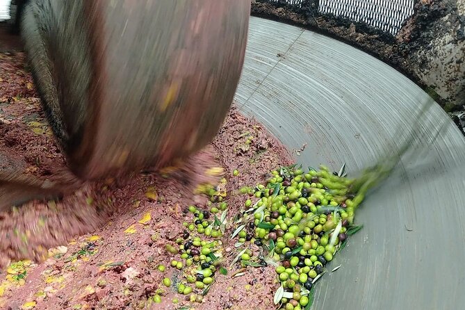 Umbria: Guided tour to Traditional Olive Oil Mill and Tasting - Why this olive mill visit feels different