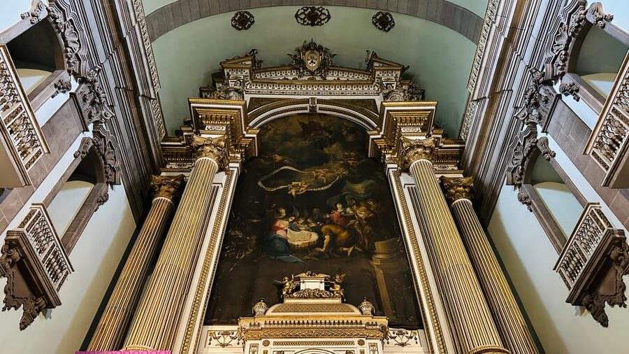 Unveiled Secrets of Porto + Olive Oil Tasting - MMIPO, Porto’s art-filled charity museum