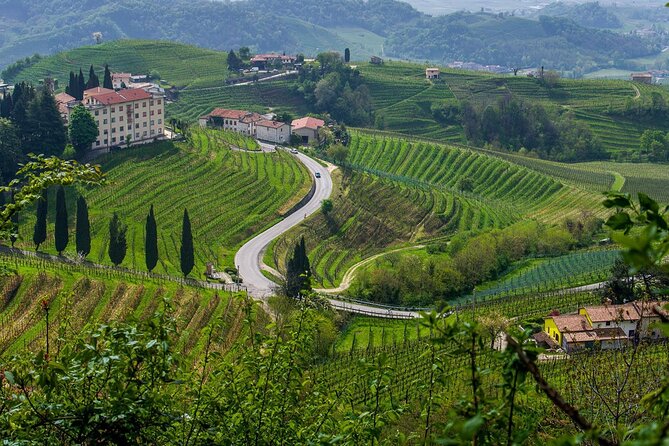 Valpolicella Wine and Olive Oil Tasting with Lunch from Verona - Olive oil, cheese, and cured meats make lunch matter