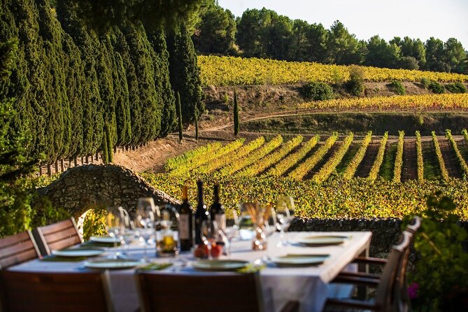 Valpolicella Wine and Olive Oil Tasting with Lunch from Verona - Who will enjoy this private Verona outing most?