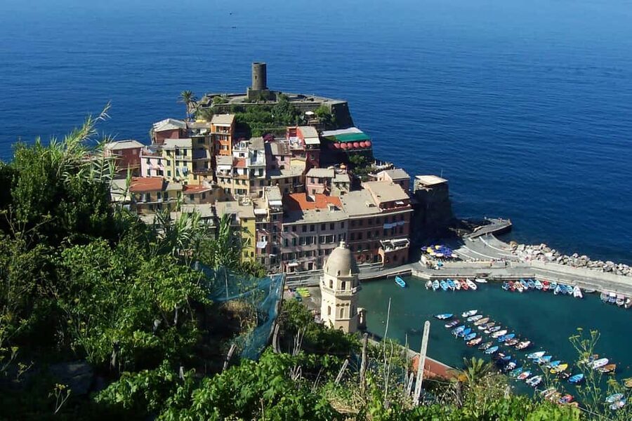 Vernazza (5 Terre): olive grove tour and oil and wine tasting - Key points to know before you book