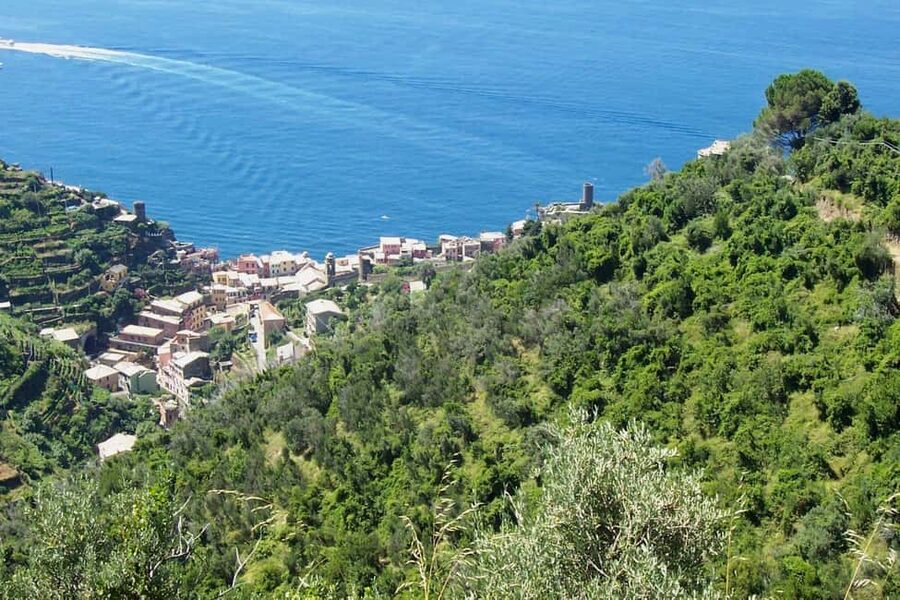 Vernazza (5 Terre): olive grove tour and oil and wine tasting - Starting in Vernazza, then leaving the crowds behind