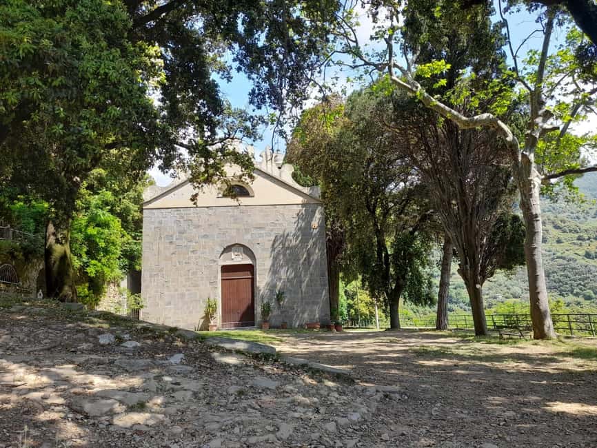 Vernazza (5 Terre): olive grove tour and oil and wine tasting - Why the guide makes a difference