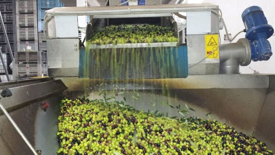 Villa Castelli: Highlights Walking Tour w/ Olive Oil Tasting - Is $32 a good value?