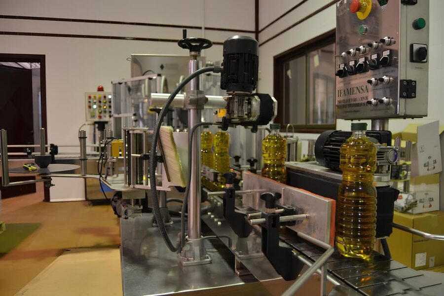 Visit an almazara + extra virgin olive oil tasting: Baeza - Why Baeza Is the Right Place to Learn About Olive Oil