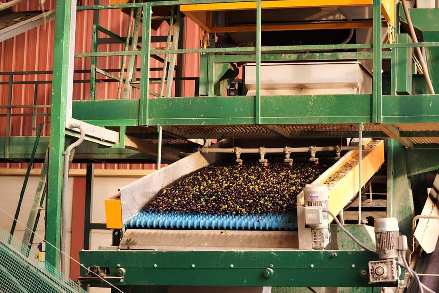 Visit an almazara + extra virgin olive oil tasting: Baeza - Following the Olives Through the Mill